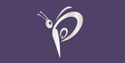 web designing company in mumbai design website